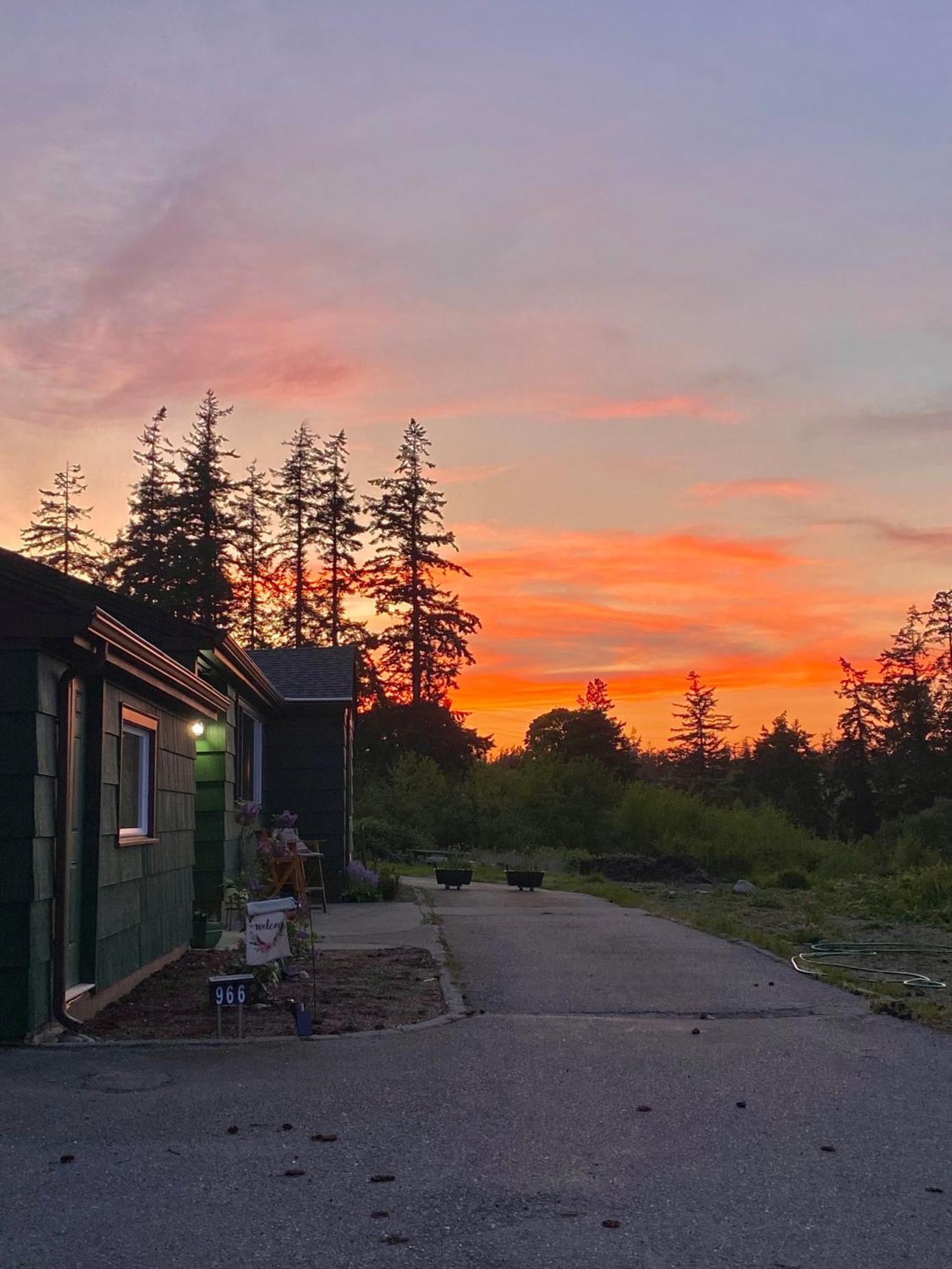 Cabin - Hot Tub - Fire Pit - View - Getaway! Oak Harbor Eksteriør billede